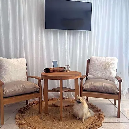 Boutique Casa Lapicida Hotel *