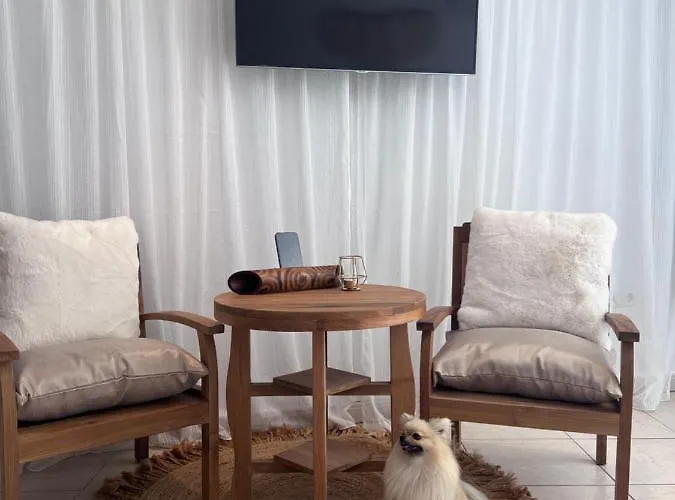 Готель Boutique Casa Lapicida Кальпе