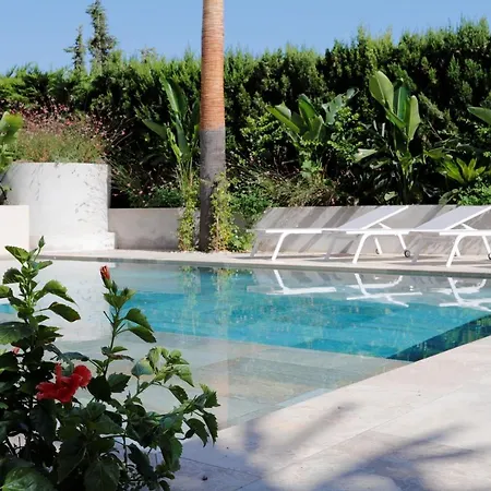 Boutique Casa Lapicida *